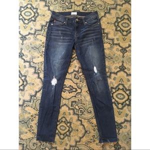 Hudson ankle Krista skinny jeans